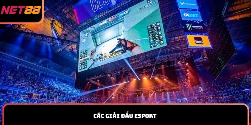 Các giải đấu Esport