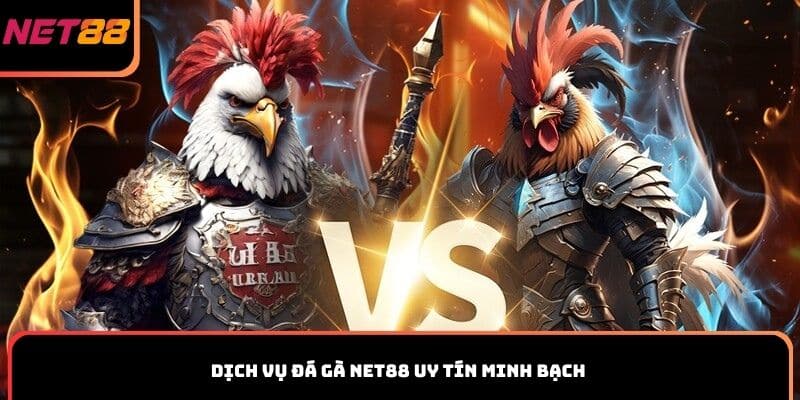 Dịch vụ đá gà Net88 uy tín minh bạch