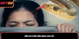 Nằm mơ thấy rắn đánh con gì