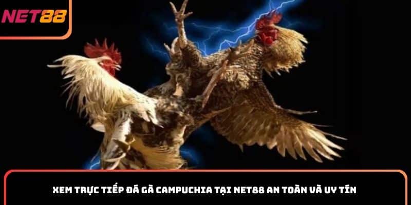 Xem trực tiếp đá gà Campuchia tại Net88 an toàn và uy tín